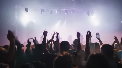 a crowd of people cheering at a live concert