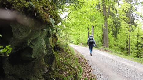 Male-hiker-on-a-gravel-road-hiking-the-popular-long-distance-trail-Westweg-through-the-Black-Forest-in-southern-Germany