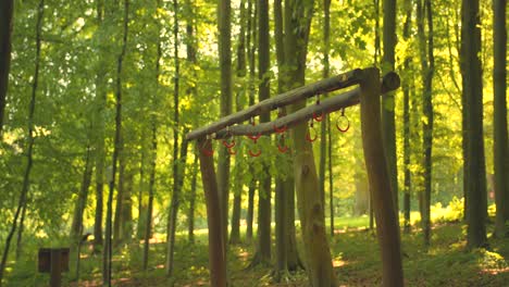 Mitten-Im-Wald-Auf-Einem-Außenbereich-Installierte-Fitnessgeräte