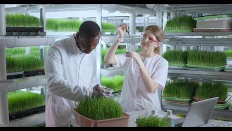 scientists conducting research on microgreens in a controlled environment