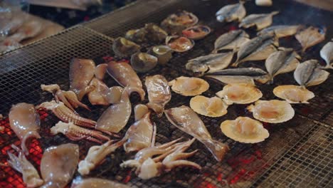 squid, scallops and mackerel on grill, cooking over the coals in slow motion