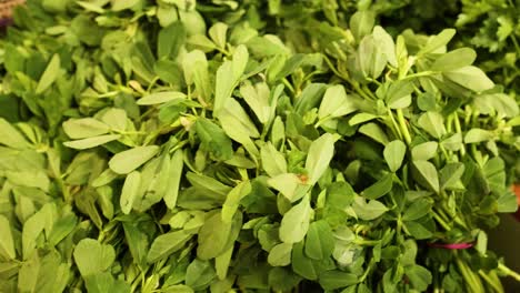 various leafy greens displayed at a market