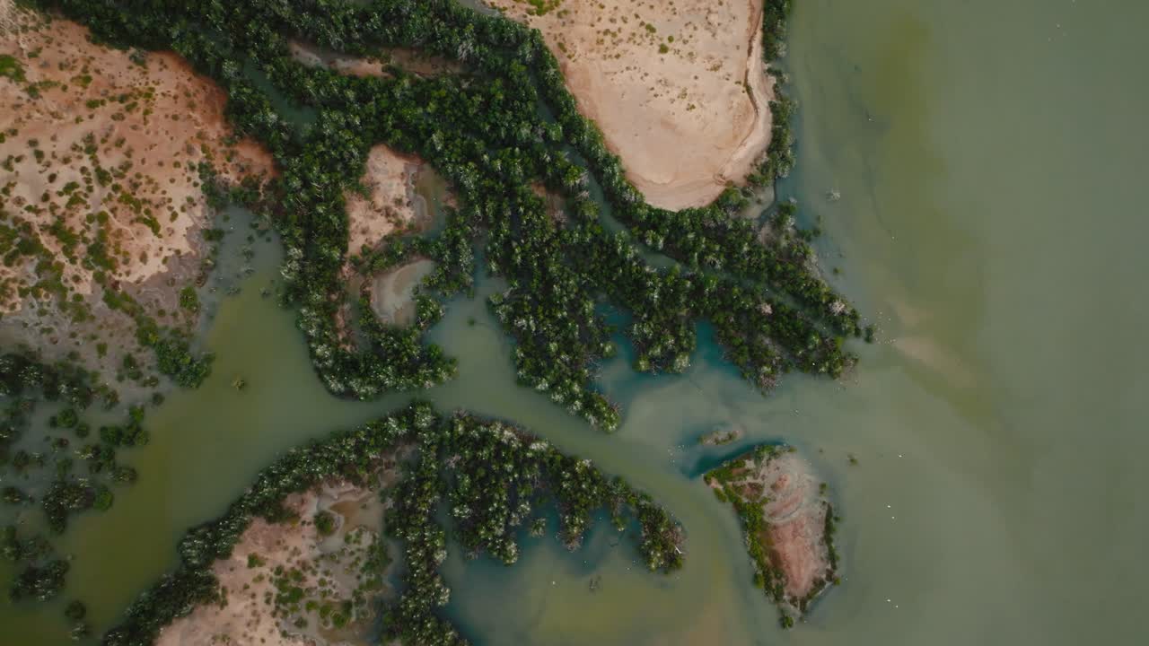 조류 보호 구역의 공중 촬영, 새 비행, 콜롬비아, 라 과히라