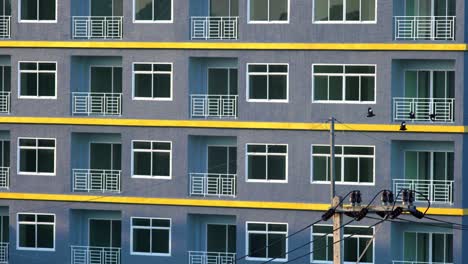 Birds-sitting-on-electric-cable-in-front-of-building-outdoors-and-flying-away