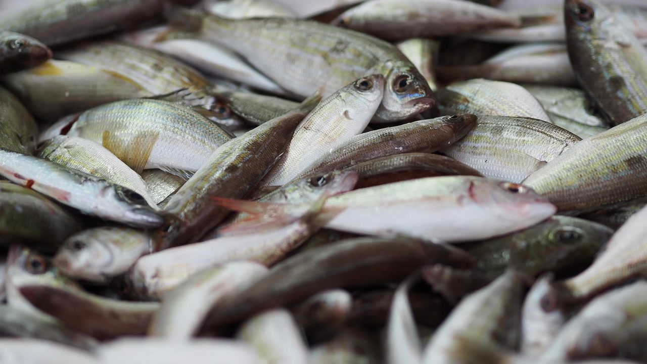 Primo piano di pesce appena pescato al mercato