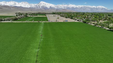 wheel line irrigation system waters green field near bishop, california