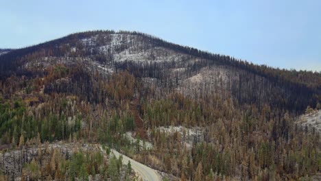 mountain-hills-landscape-in-Lake-Tahoe-area,-California,-dry-forest-aerial-view