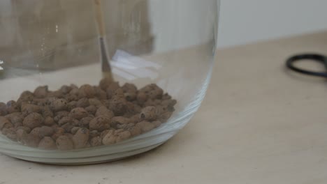 a young female botanist creates a tiny live forest ecosystem in a huge glass jar - caring for the drainage - a tight close-up