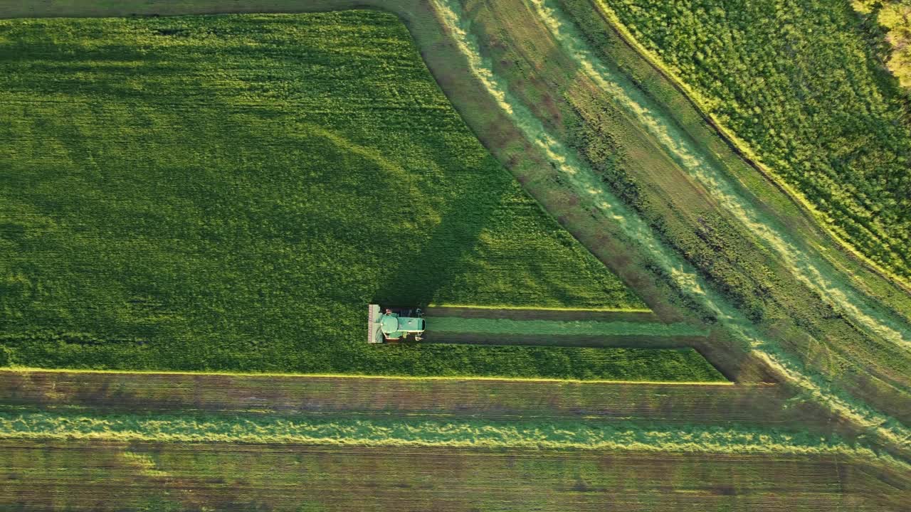 imágenes aéreas de drones de un agricultor que combina la cosecha en su campo al atardecer durante el verano, de arriba hacia abajo