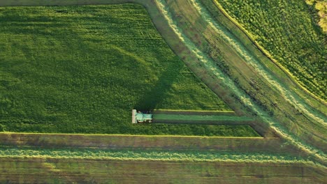 Aerial-drone-footage-of-a-farmer-combining-the-crop-in-his-field-at-sunset-during-summer,-top-down