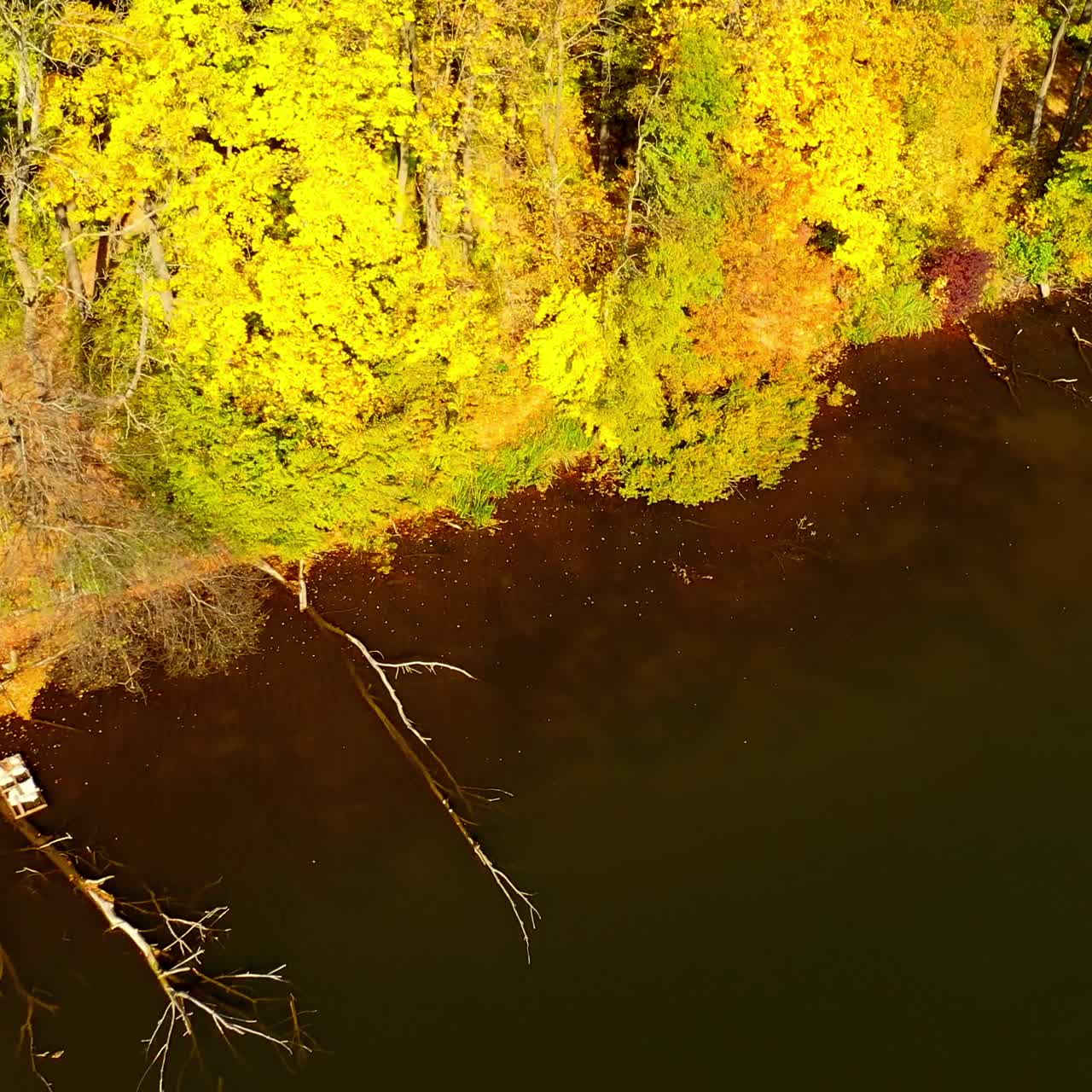 Beautiful autumn forest reflecting in dark waters of the river. Bright sunny day in the woods growing on waterfront. Aerial perspective