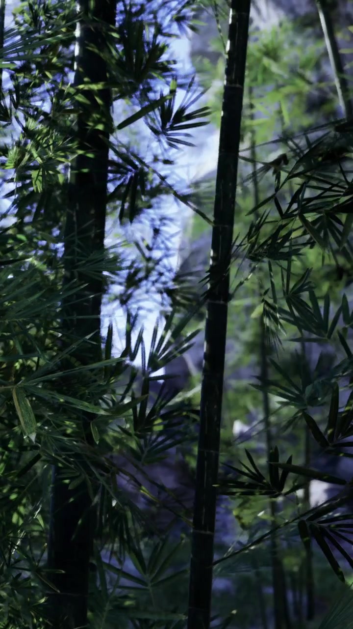 Foresta di bambù con foglie verdi e luce soffusa durante il giorno.
