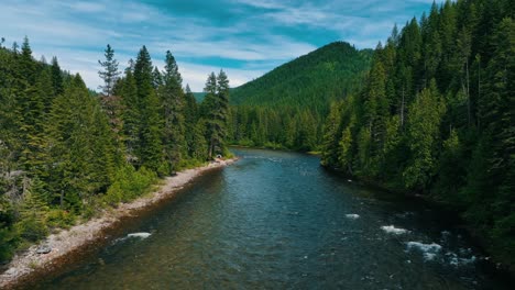 river flowing through fir trees in lolo national