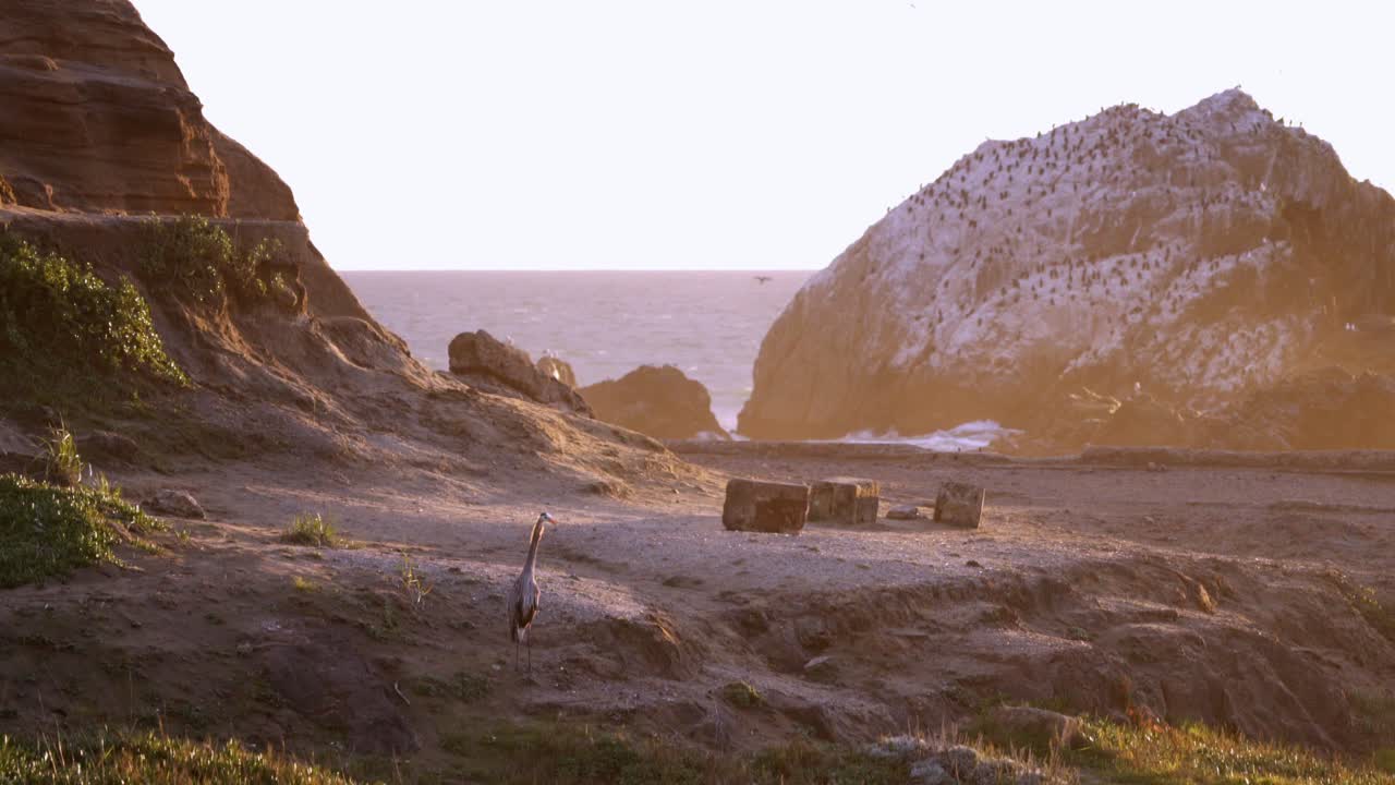 바다의 아름다운 전망과 큰 새가 앞에 있는 육지의 끝 샌프란시스코