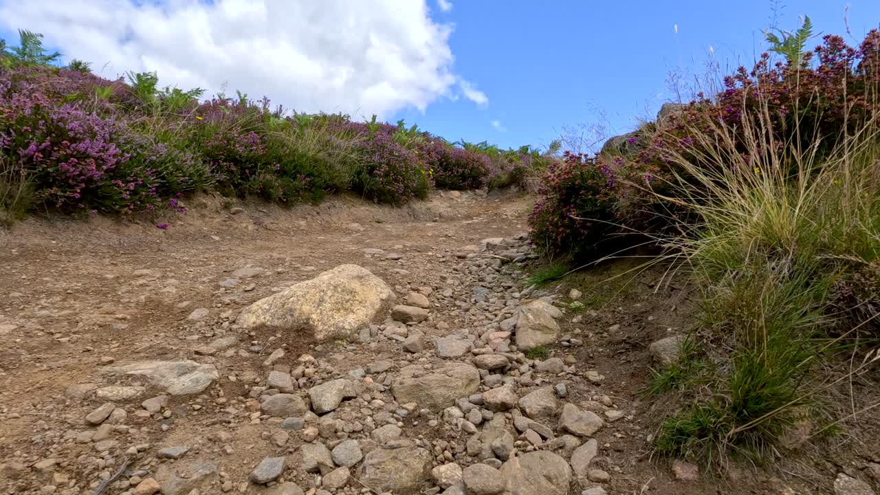 Camera moves steadily uphill along a rocky, dirt trail bordered by heather and grass under bright daylight, capturing a rugged Scottish landscape