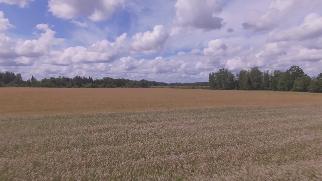 воздушный низкий полет прямо по направлению к шоссе в пасмурный летний день