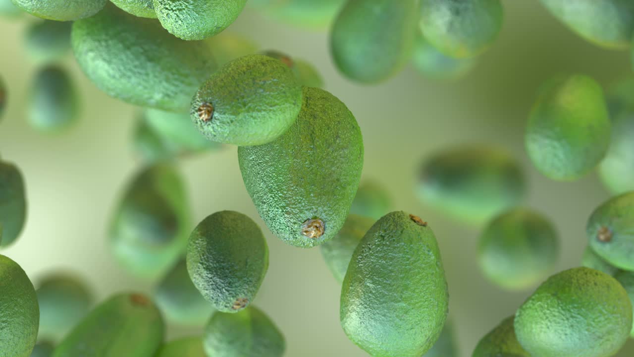 fruto de aguacate fresco en el fondo en cámara lenta 4k