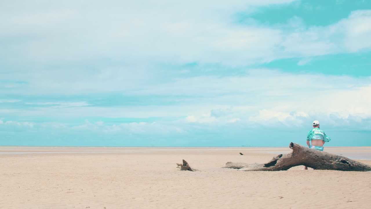 턱수염을 기른 청년이 모래에서 튀어나온 죽은 통나무에 앉아 썰물 때의 해변과 폭풍을 일으킬 때 먼 구름에서 밀려오는 강한 바람을 감상합니다.