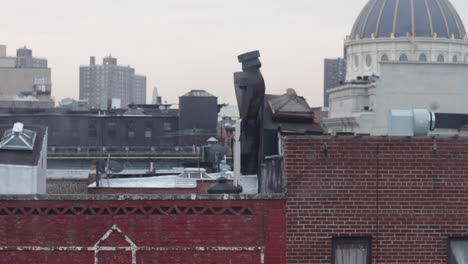 sunrise birds flying over brooklyn rooftops, brick buildings