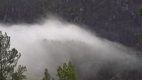 fog rolls over small forested hill towards fjord in norway