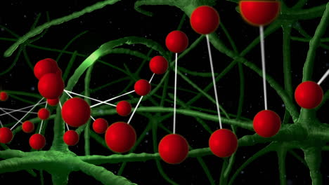 DNA-Und-Neuronen