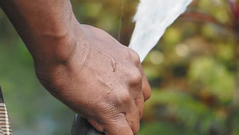 person watering plants with a hose