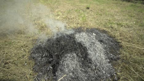 slow mo: light bonfire on grass