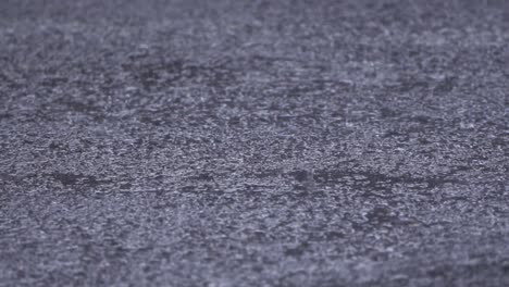 rain falling on asphalt and creating small puddles