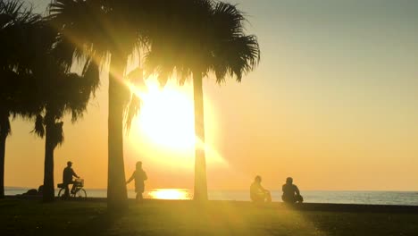 time lapse of palm tree and people near the beach