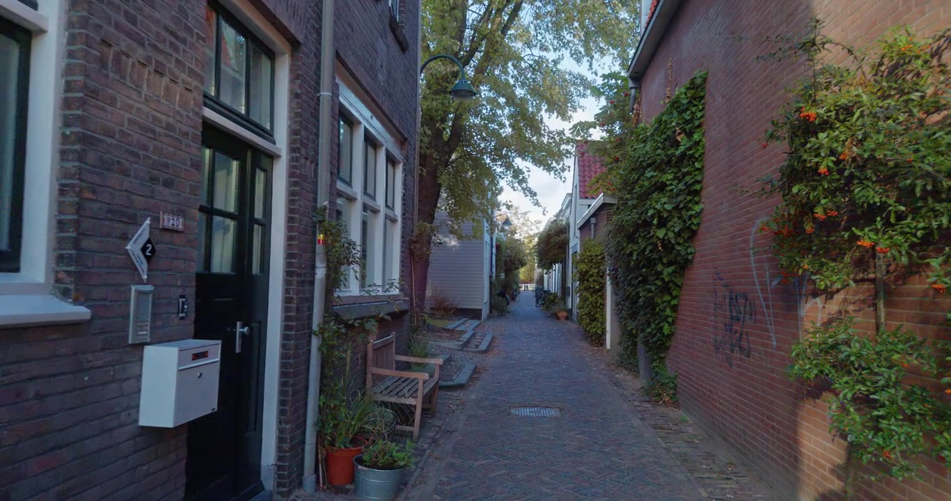 Narrow alleyway between brick buildings in Delft Netherlands Europe with lush greenery forest and vibrant orange flowers on walls cobblestone path sunlit morning