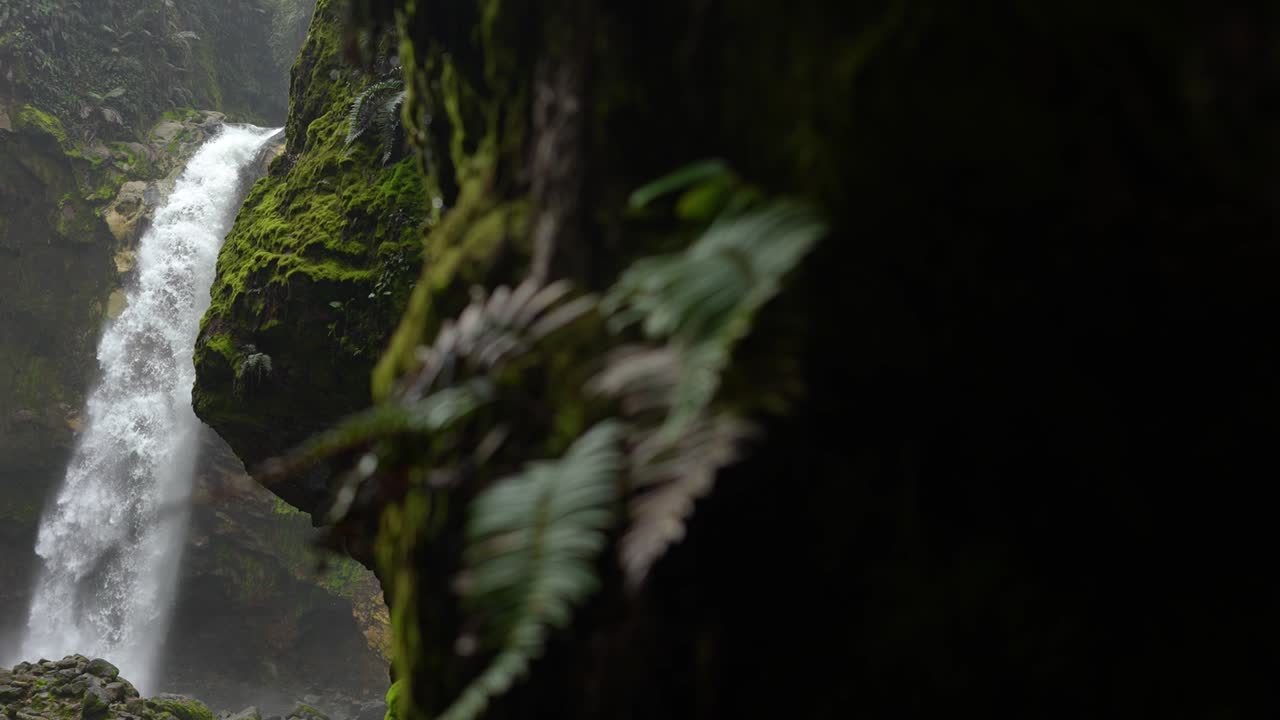 cascadas de río salvaje