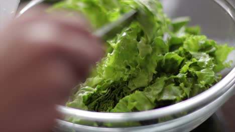 pouring lettuce in a bowl