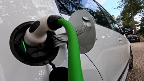 two white ev cars plugged into a public charging station in a forest