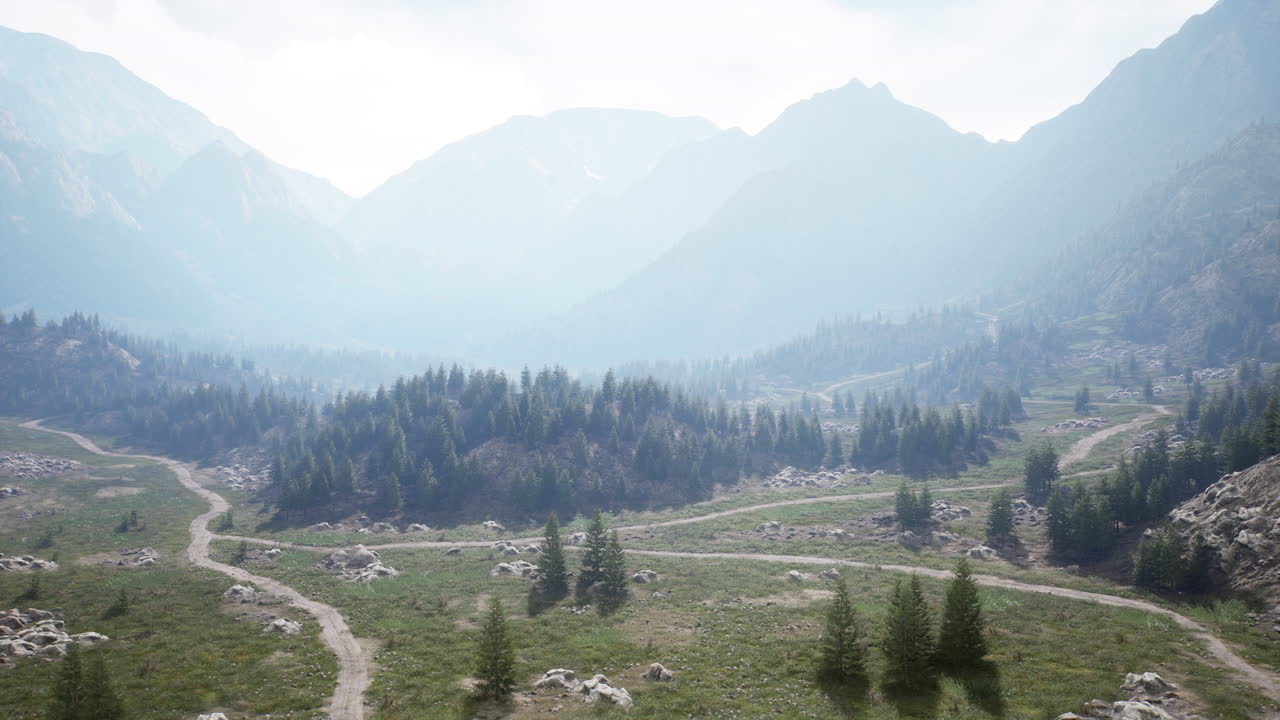 vista aérea de un bosque de coníferas verdes en las montañas
