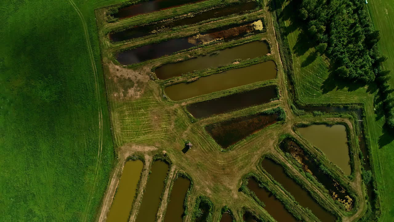vista aérea de un pequeño lago de peces en la granja