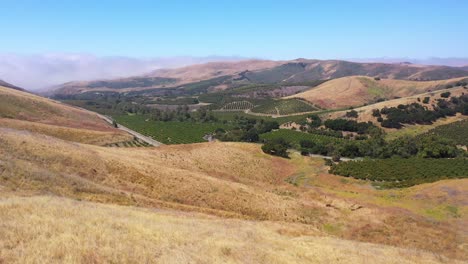 aerial over an avocado farm or ranch property in the santa ynez mountains of santa barbara california 2