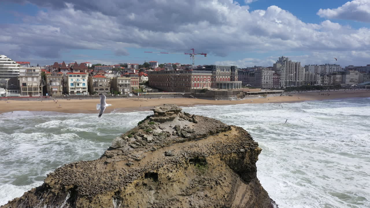 las gaviotas volando alrededor de una roca gigante en el océano biarritz grande plage día soleado