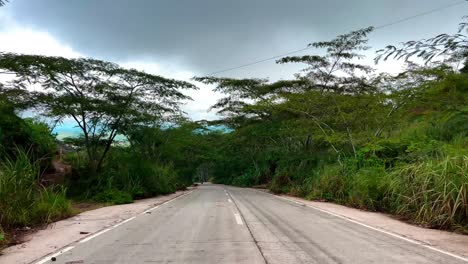 peaceful concrete road cuts through dense tropical foliage—ideal for travel, solitude, or nature journey scenes