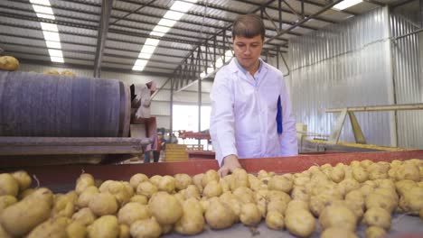 Producción-De-Agricultura.-Agrónomo-Supervisando-La-Cosecha-De-Patatas.