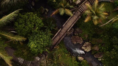 peaceful scene of footbridge crossing jungle stream
