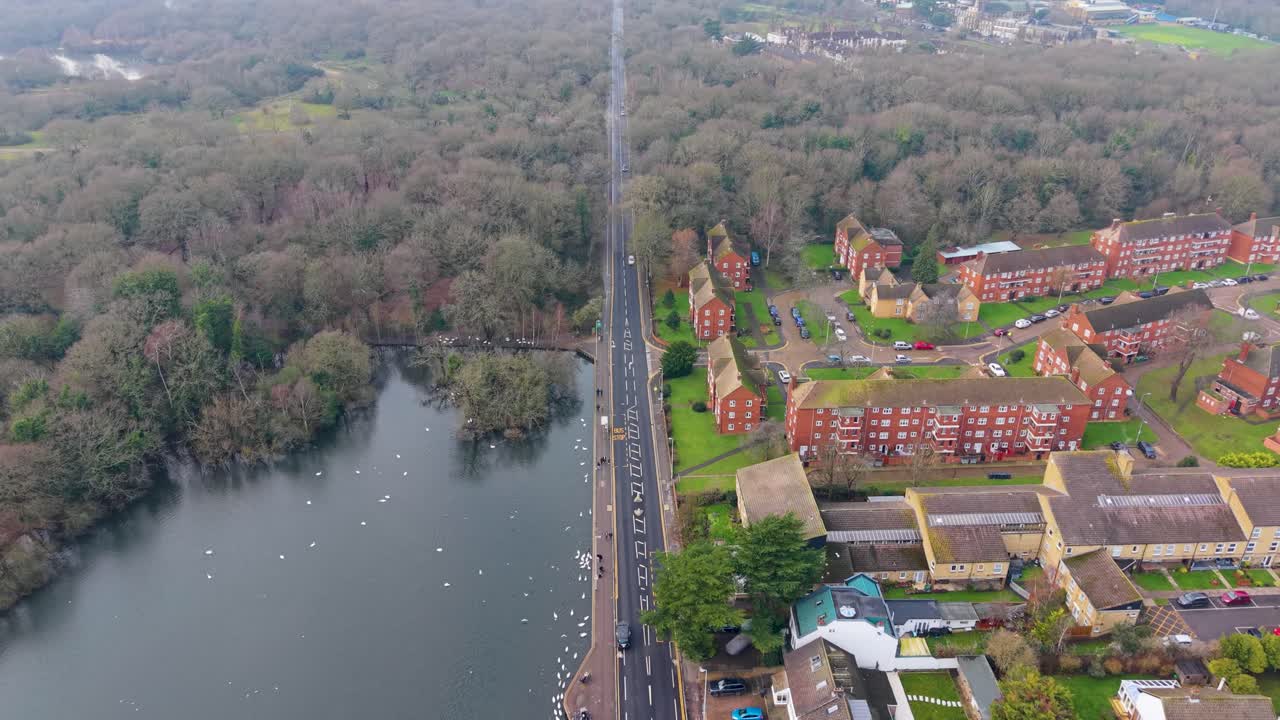 Vista aerea statica di Snaresbrook Road con Eagle Pond, case e foresta