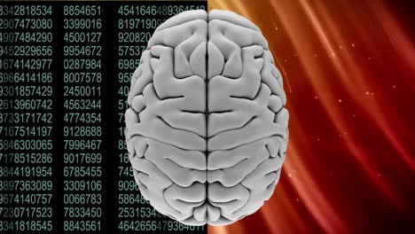 animation of the top of a grey brain against a binary codes and stars