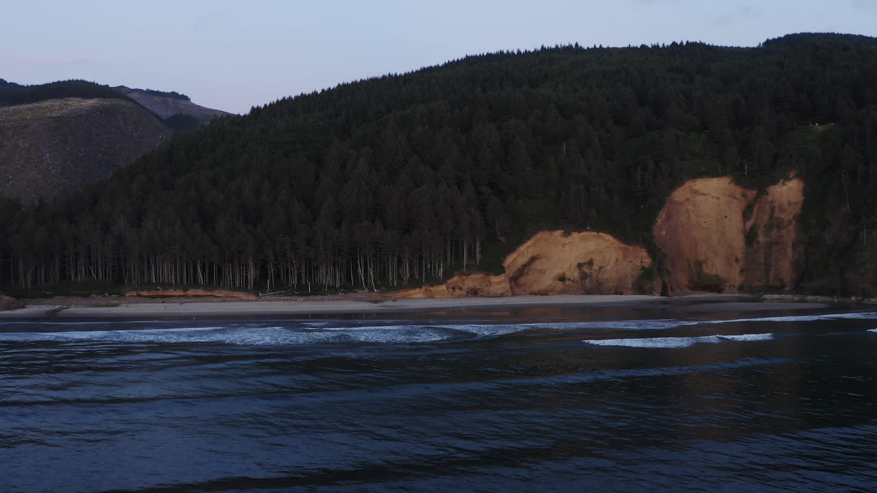 Dolci onde che si infrangono su una remota spiaggia della costa dell'Oregon, delimitata da una foresta di sempreverdi.