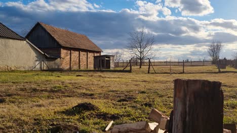 farmer wood cutter chopping firewood and wood logs with small axe hatchet on the farm in a field into smaller pieces to use in fire