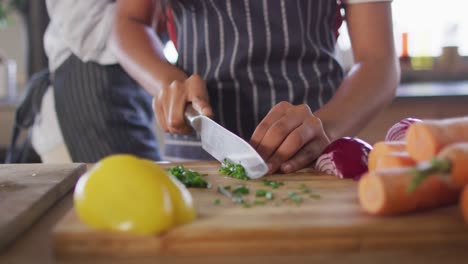 video de las manos de una mujer biracial cortando verduras, preparando comida