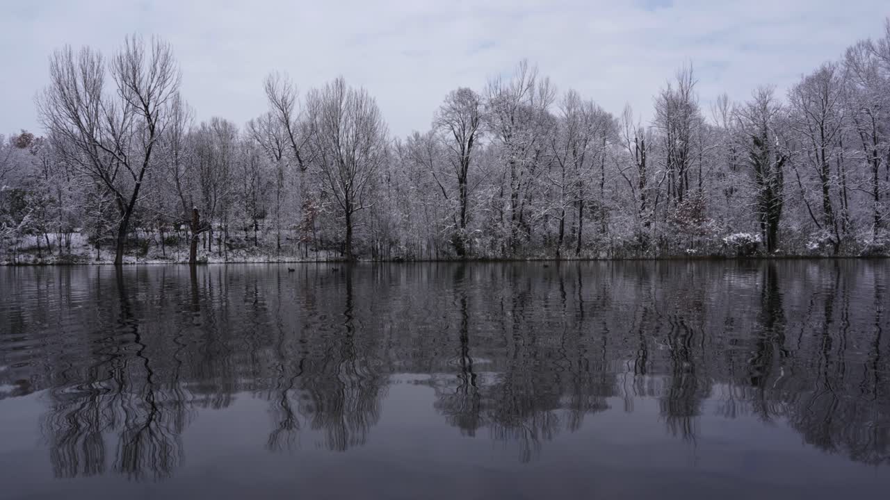 escena de invierno con árboles cubiertos de nieve que se reflejan en las tranquilas aguas frías del lago