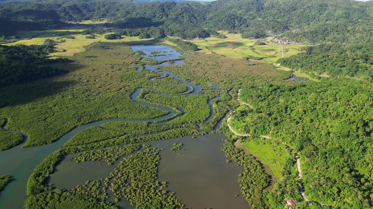 Protected Verdant Natures Of Batalay Mangrove Eco Park In Bato, Catanduanes, Philippines. Aerial Drone Shot