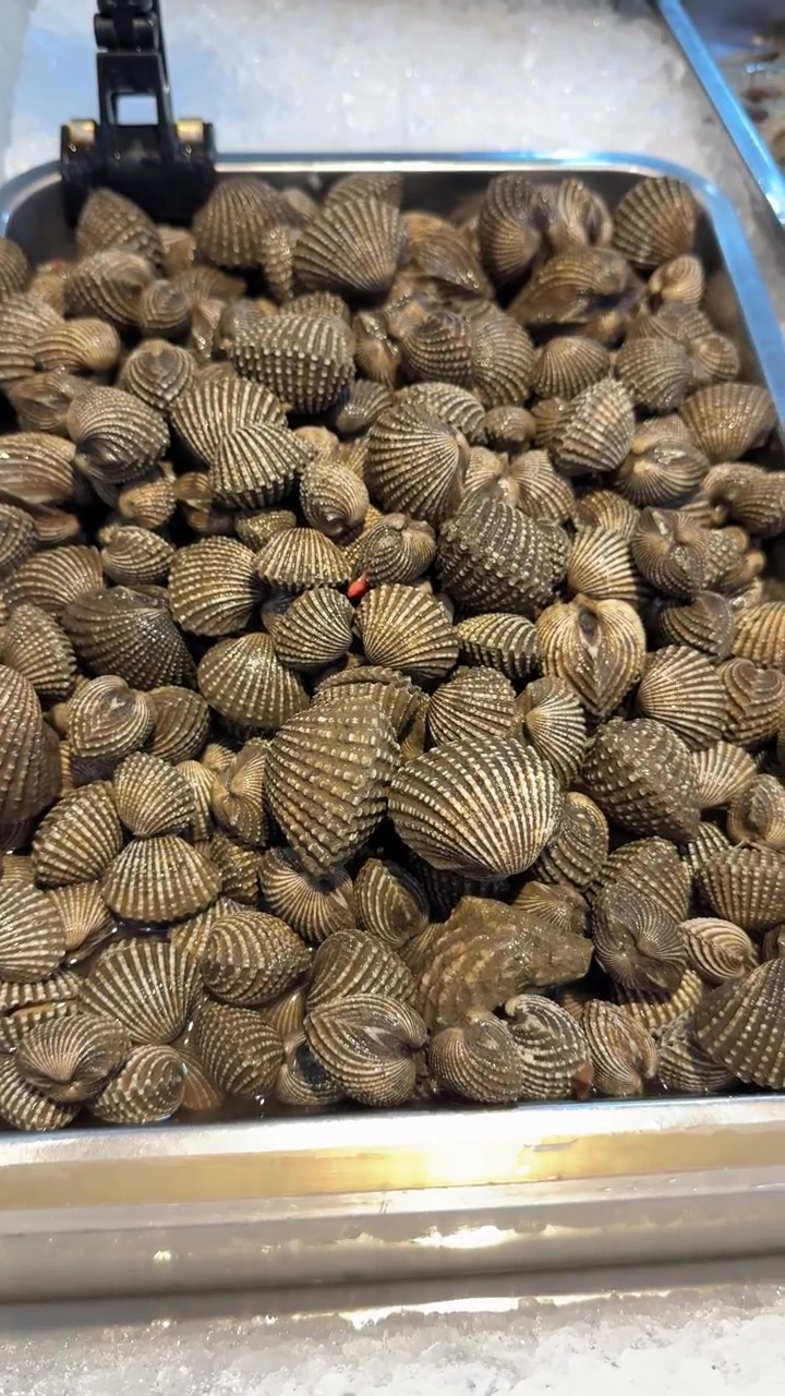 Fresh Cockles Displayed on Ice at a Seafood Market