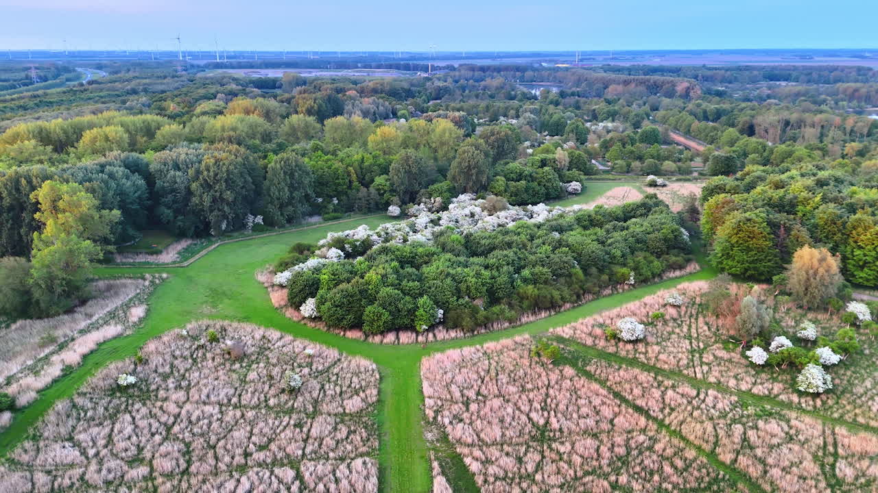 Stunning forests and meadows from aerial perspective. Green park with lush vegetation.