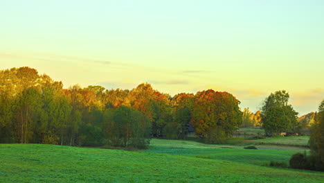 four seasons of a countryside meadow in one long duration time lapse